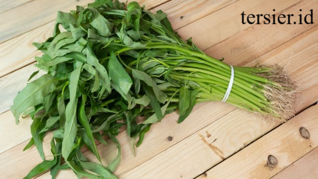 Inilah 8 Manfaat Kangkung untuk Kesehatan